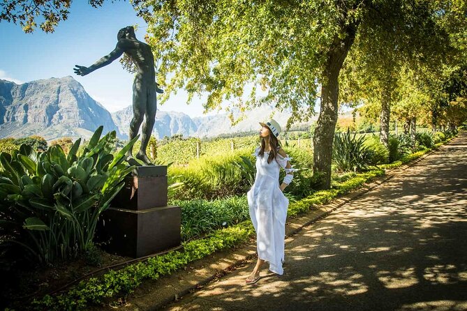 Cape Peninsula Helicopter Private Tour with Stellenbosch Wine Tasting & Lunch - Price and Value: Does $798.20 Make Sense?