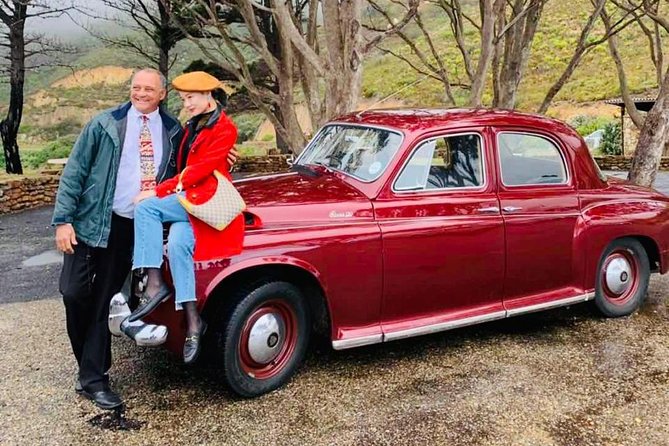 Cape Peninsula in a Vintage Car (Penguins, Cape Point & Chapman's Peak drive) - Private group comfort: chauffeur, classic car, and drinks