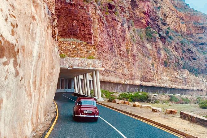Cape Peninsula in a Vintage Car (Penguins, Cape Point & Chapman's Peak drive) - Cape Point Nature Reserve: fynbos, cliffs, and cheeky baboons