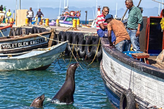 Cape Peninsula in a Vintage Car (Penguins, Cape Point & Chapman's Peak drive) - Price and value for up to three people