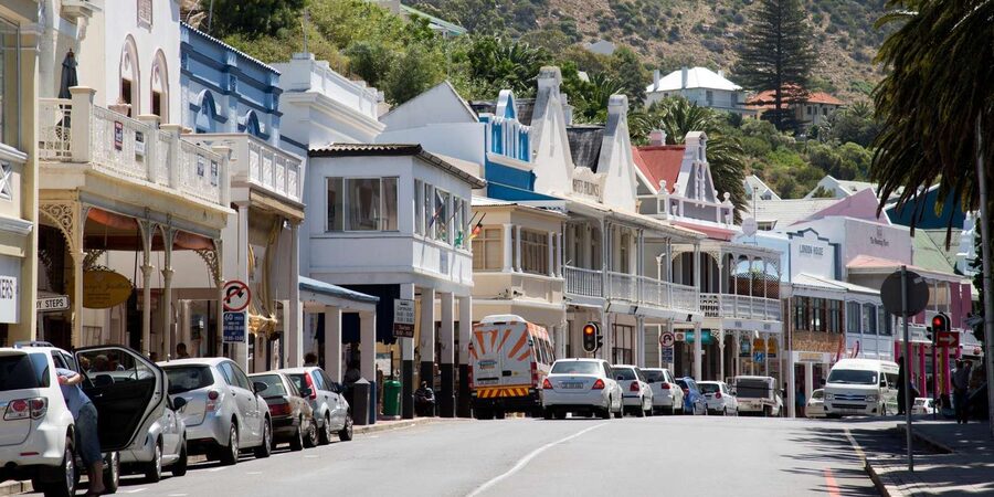 Cape Peninsula & Penguins Beach Half Day Tour from Cape Town - Guides, pacing, and how the day stays pleasant