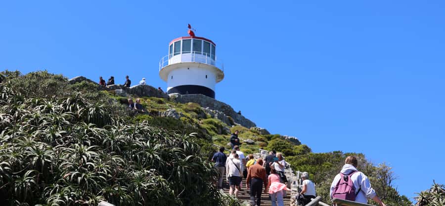 Cape Peninsula & Penguins Beach Half Day Tour from Cape Town - Why this Cape Peninsula route works when you do not have a full day