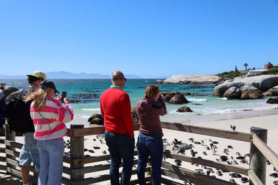 Cape Peninsula & Penguins Beach Half Day Tour from Cape Town - Boulders Beach penguins: how to see them without rushing