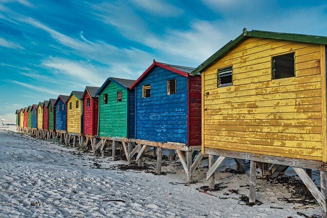 Cape Peninsula & Penguins Private Day Tour, Entrances Included. - Hout Bay and Duiker Island seals: add the boat if you want close-up wildlife