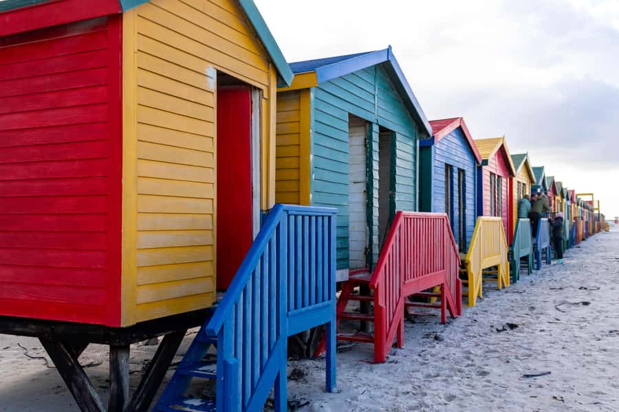 Cape Peninsula: Private Full Day Tour - Chapman’s Peak Drive: the best views depend on the weather