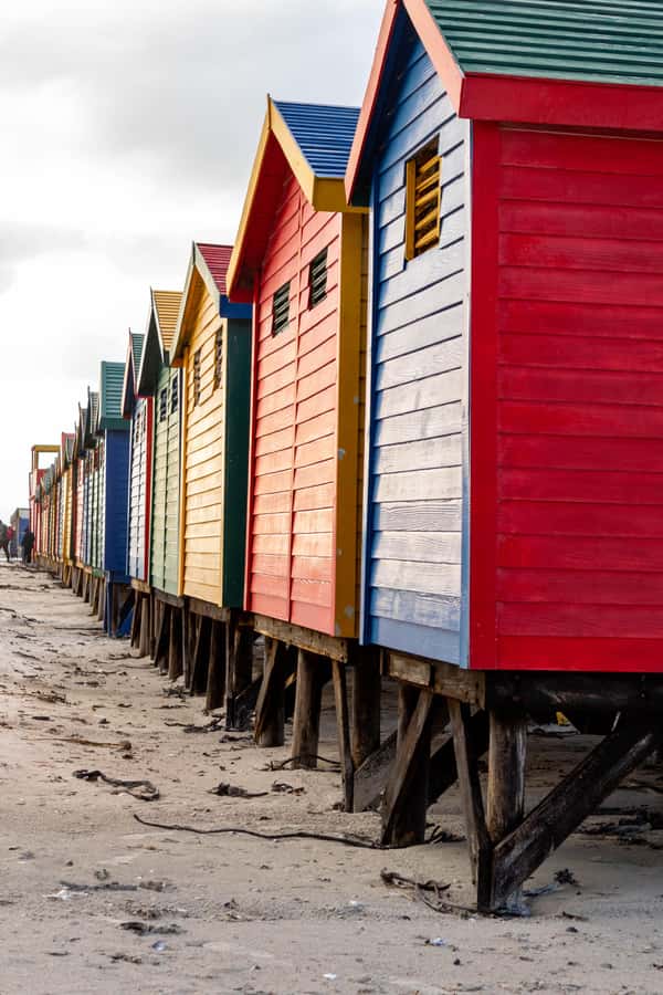 Cape Peninsula: Private Full Day Tour - Price and logistics: is $225 good value for a private full-day?