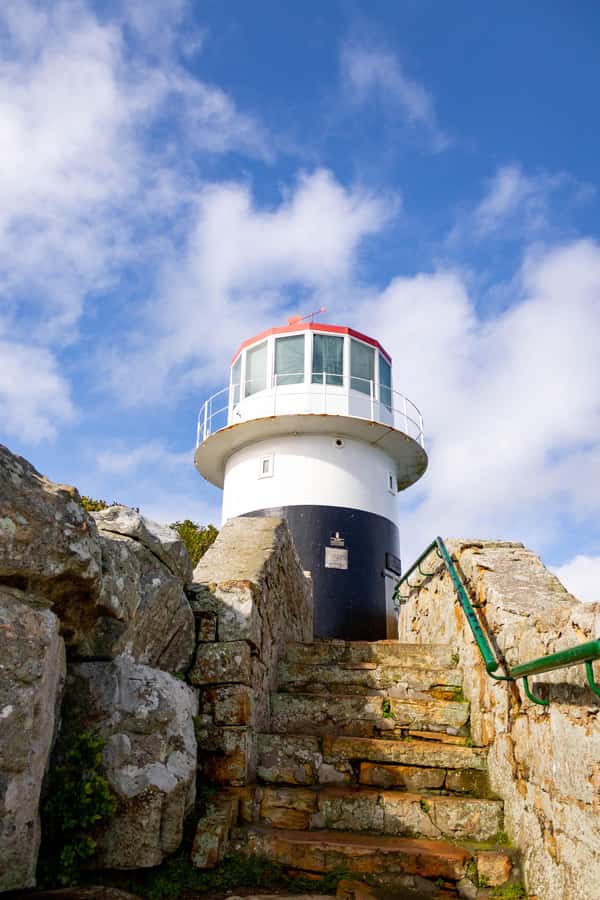 Cape Peninsula: Private Full Day Tour - From the City Bowl to the Atlantic Seaboard: where your day sets the tone