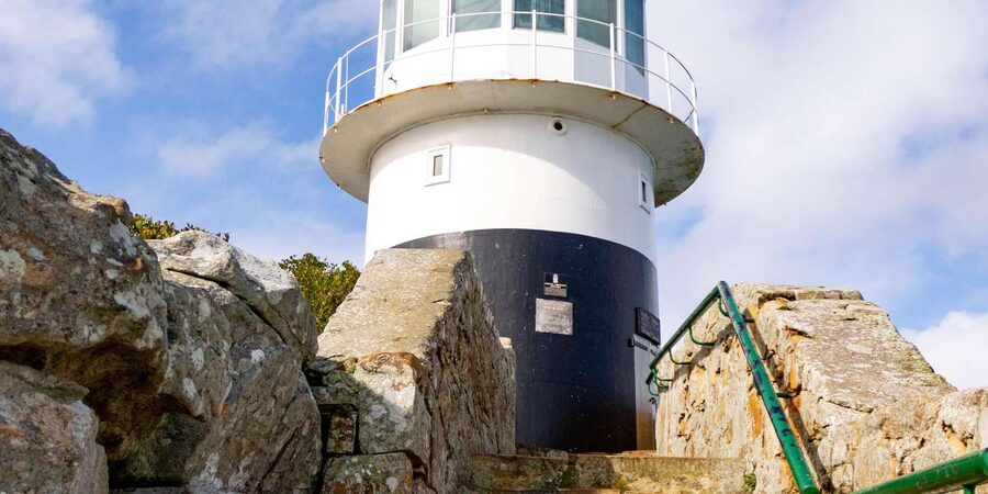 Cape Peninsula: Private Half Day Tour - Your Private Guide: How the Experience Gets Personal