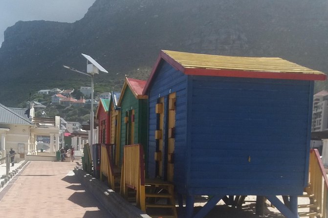 Cape Peninsula Private Tour - A private Cape Peninsula day that moves at human speed