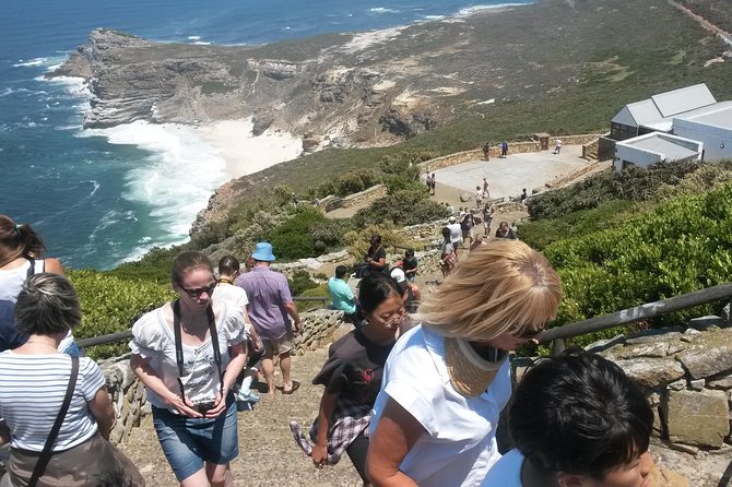 Cape Peninsula Private Tour - Cape Point Ostrich Farm: a fun pause with short timing