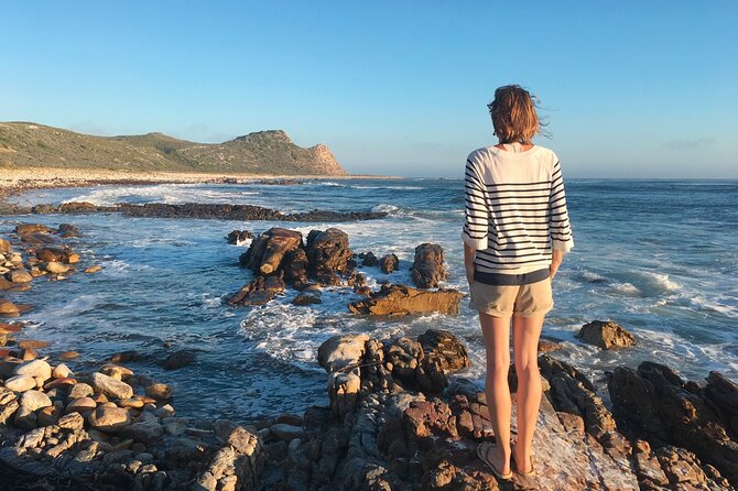 Cape Peninsula Private Tour In Cape Town South Africa - Where you meet your driver, and how the day actually starts