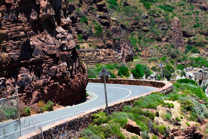 Cape Peninsula Private Tour Include Park Fees - Chapman’s Peak Drive: the coast road where you stop even if you are not a driver