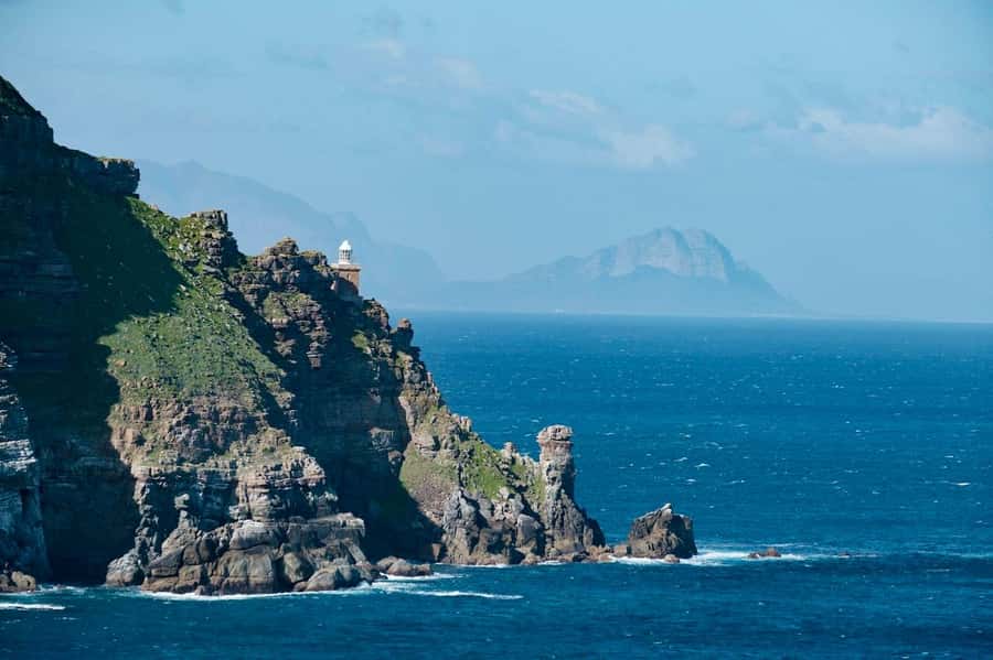 Cape Peninsula Shared Half-Day Tour - Key things that make this tour work