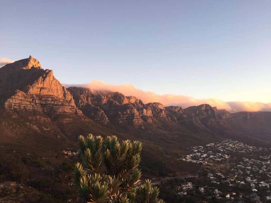Cape Peninsula Shared Half-Day Tour - Cape Peninsula Shared Half-Day Tour: what you really get for $87