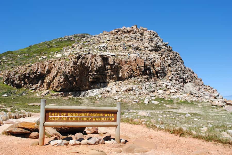 Cape Peninsula Shared Half-Day Tour - Simon’s Town and the Penguin Colony option