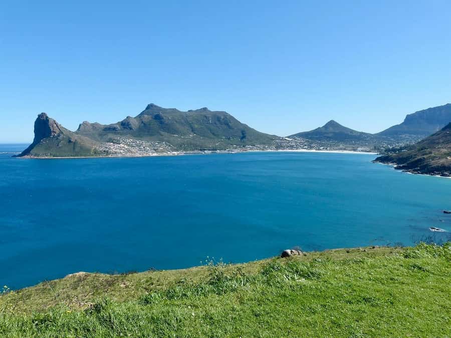 Cape Peninsula Shared Half-Day Tour - Constantia wine country drive-through: a calm landing after the coast