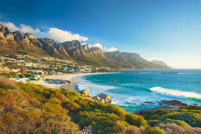 Cape Peninsula Sightseeing Tour - Why this Cape Peninsula loop beats DIY planning
