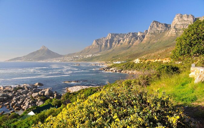 Cape Peninsula Tours - Key things I would plan around