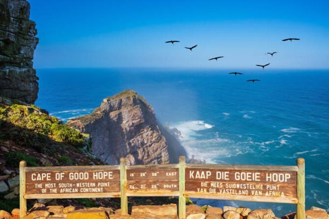 Cape Peninsula Tours - Hout Bay and the Seal Island ferry: an hour well spent