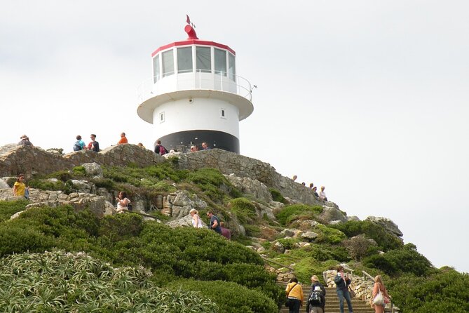 Cape Peninsula Tours - The drive-by scenery breaks up the day