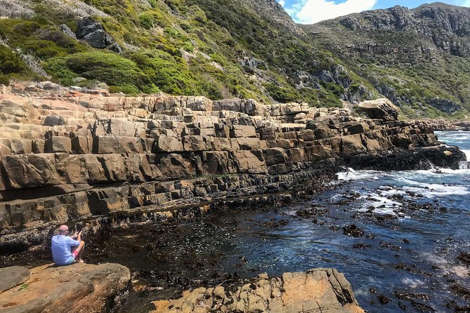 Cape Peninsula with a Marine Biologist - Cape of Good Hope: Rooibos, Rusks, and Tide-Friendly Pace
