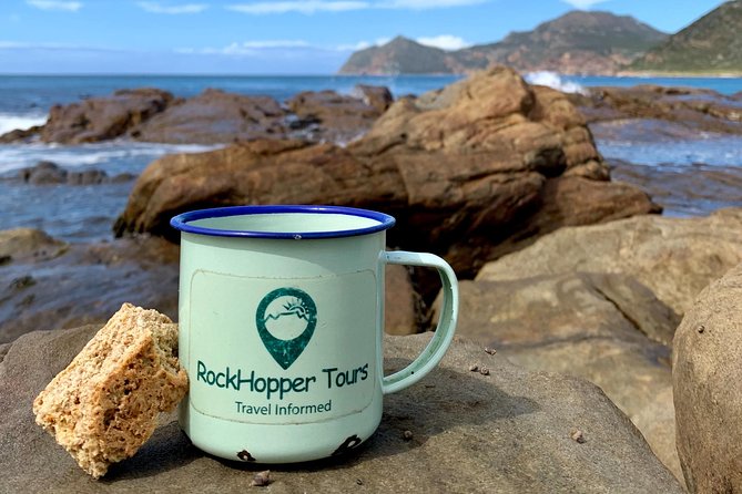 Cape Peninsula with a Marine Biologist - Gear, Vehicle, and the Small Sustainability Touch That Actually Adds Value