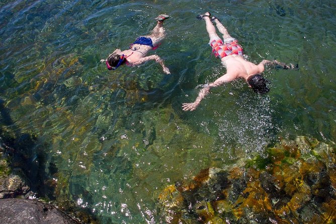 Cape Peninsula with a Marine Biologist - Who This Tour Fits Best (And Who Might Want a Different Plan)