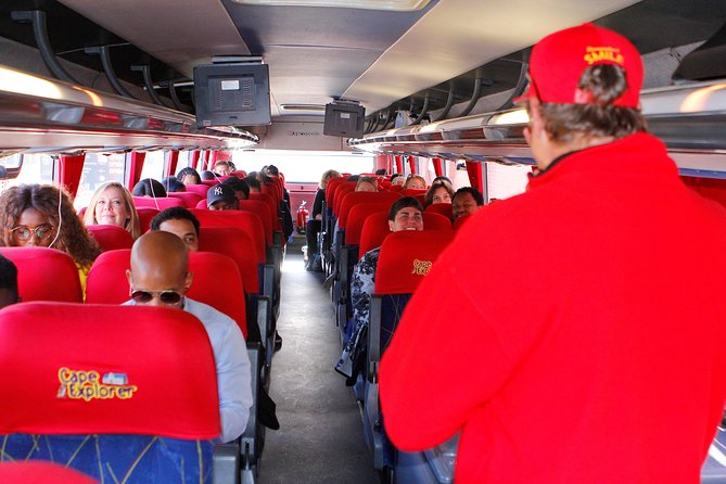 Cape Point and Boulder's Penguins Full Day Tour - A Full Day on the Cape Peninsula, Without the Self-Drive Stress