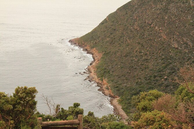Cape Point and Cape of Good Hope day tour Up to 10 persons - Simon’s Town: the naval side of the peninsula