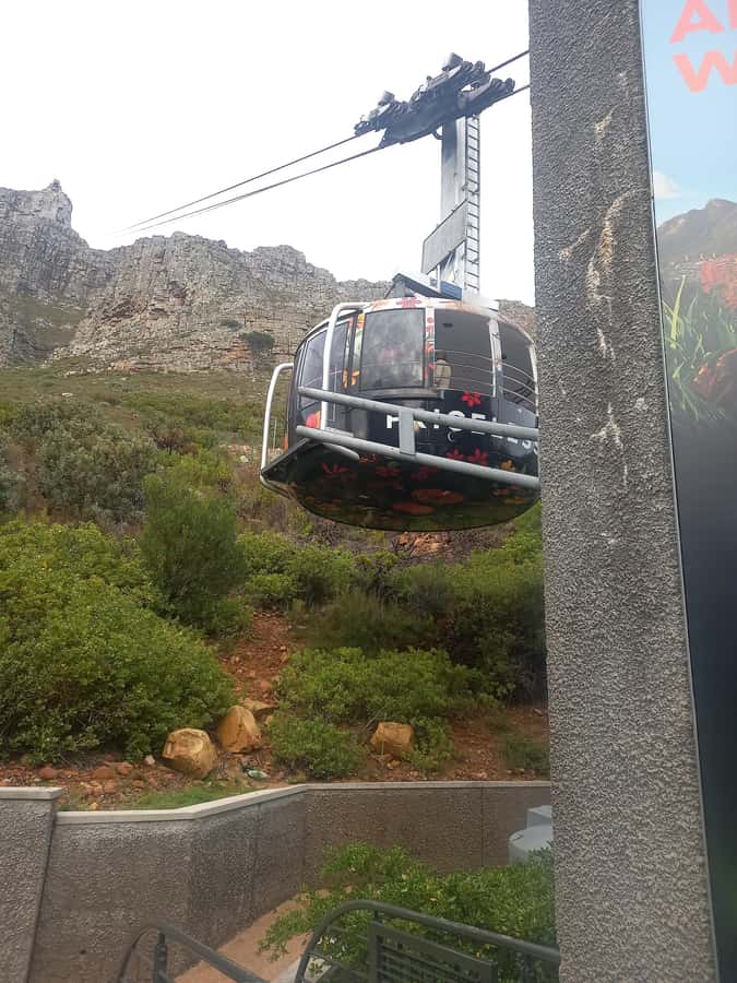 cape point and penguin ,muizenberg, bookapp - Should you book the Cape Peninsula Cape Point and Penguin day trip?