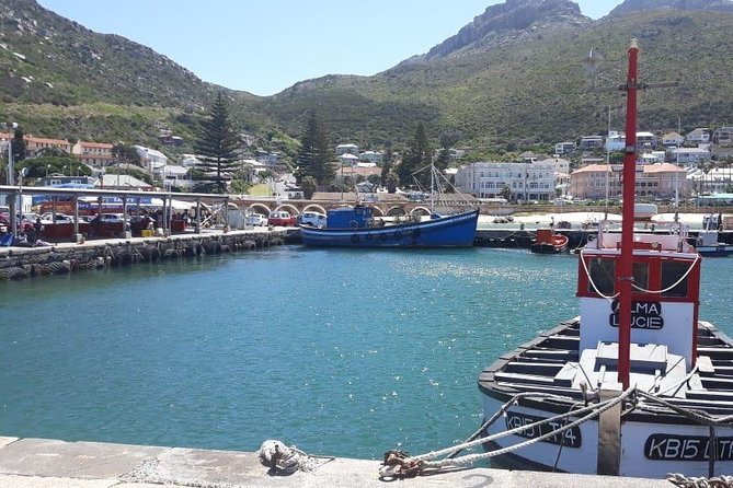Cape Point, Boulder's Beach in Private Car Entrance Fees Included - Hout Bay Optional: Seals Island If You Want the Extra Water Time