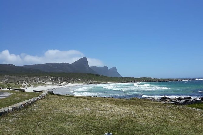 Cape Point, Boulder's Beach in Private Car Entrance Fees Included - Chapmans Peak, One of Cape Town’s Most Scenic Road Moments