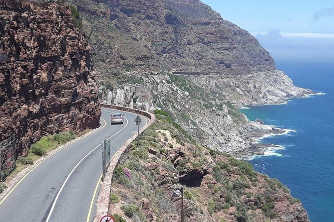 Cape Point, Boulder's Beach in Private Car Entrance Fees Included - Cape of Good Hope and Cape Point: The Drive Through the Natural Reserve