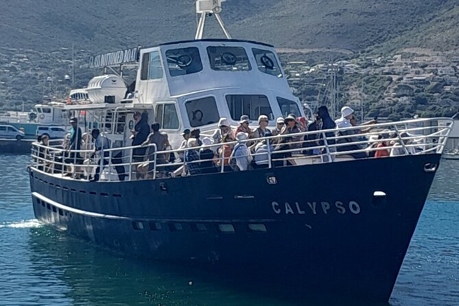 Cape Point Cape Of Good Hope And Penguins Private Tour - Cape Town Central stops: quick history, easy first momentum