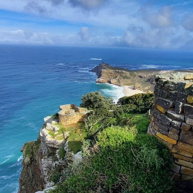 Cape Point Cape of Good Hope, Penguins Private Half day Tour - Who should book this Cape Point and penguins tour