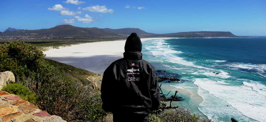 Cape Point Cape of Good Hope, Penguins Private Half day Tour - Boulders Beach African penguins: 45 minutes well spent