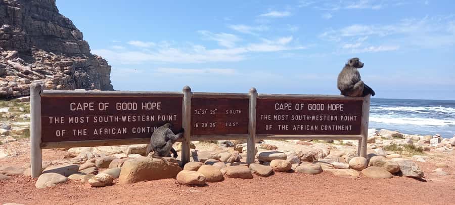 Cape Point Cape of Good Hope, Penguins Private Half day Tour - What to bring, what to expect on foot, and how to stay comfortable