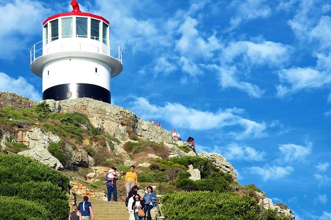 Cape Point Explore with Boulder's Penguins Small Group Day Tour - Boulders Beach Penguin Colony: Optional, But Easy to Justify