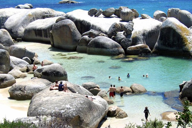 Cape Point Explore with Boulder's Penguins Small Group Day Tour - Price and Logistics: What You Pay For, and What You Add