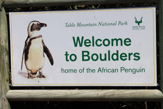 Cape Point Explore with Boulder's Penguins Small Group Day Tour - Chapman’s Peak Drive: Scenic Views Without the Driving Stress