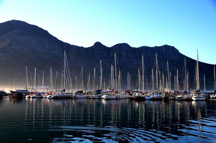 Cape Point Full-Day Tour From Cape Town - Cape Point inside Table Mountain National Park: lighthouse views and practical choices