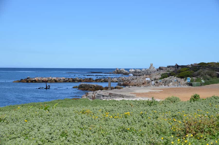 Cape Point Full-Day Tour From Cape Town - Price and value: is $113 a fair deal for this route?