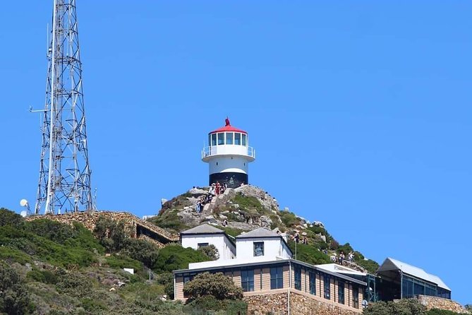Cape Point & Penguin Explorer Tour - Entering Cape of Good Hope: The Guided Start That Sets the Tone