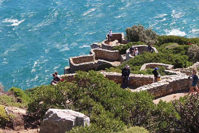 Cape Point & Penguin Explorer Tour - Cape Point’s Over-2-Hour Window: Enough Time to Actually Look