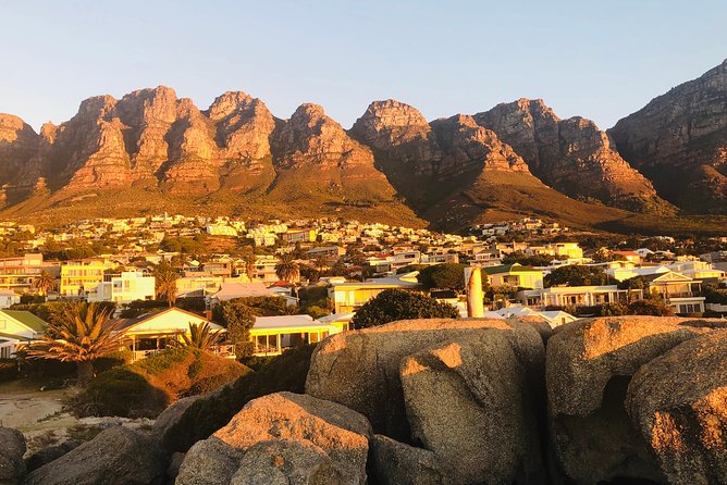 Cape Point Penguin Tour - Llandudno and Hout Bay: harbor vibes plus an optional seals moment
