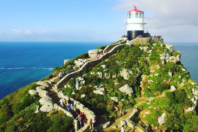 Cape Point Penguin Tour - What the $230.05 price really covers for 8 hours