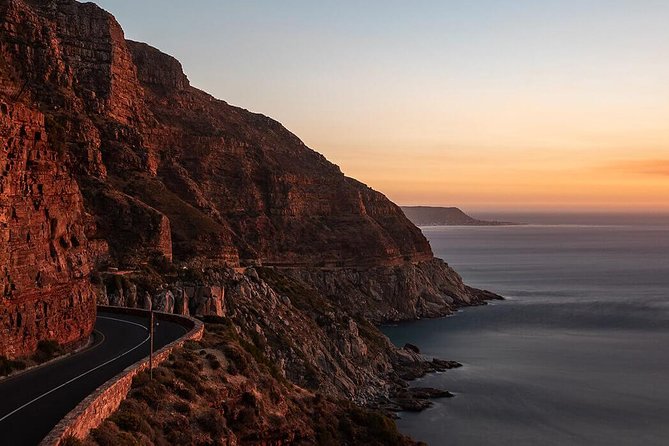 Cape Point & Penguins full day tour - Pickup, Wi-Fi, and a guide who actually helps