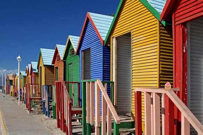 Cape Point & Penguins full day tour - Boulders Beach penguin colony: 45 minutes that feel short