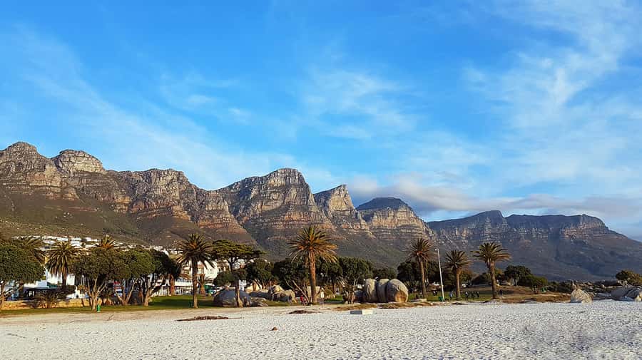 Cape Point & Penguins: Private Cape Peninsula Tour. - Simon’s Town and Boulders Beach African penguins