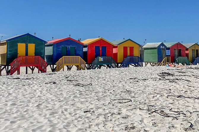 Cape Point, Penguins & Wine Tasting In Constantia Full Day Tour - Hout Bay: Fishing-Port Feel, Optional Seal Island Time